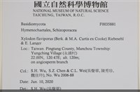 登錄號:F0035881藏品圖，第2張