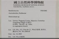 刺皮菌屬藏品圖，第2張