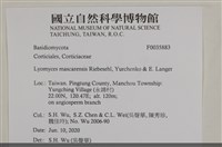 登錄號:F0035883藏品圖，第2張