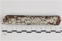 登錄號:F0035883藏品圖，第1張