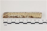 登錄號:F0035884藏品圖，第1張