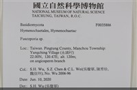 登錄號:F0035886藏品圖，第2張