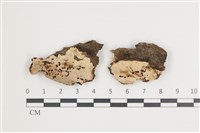 登錄號:F0035888藏品圖，第1張