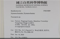 登錄號:F0035889藏品圖，第2張