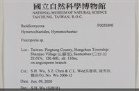 登錄號:F0035890藏品圖，第2張