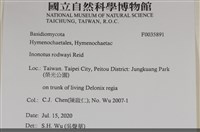 登錄號:F0035891藏品圖，第2張
