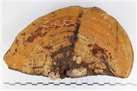 登錄號:F0035891藏品圖，第1張