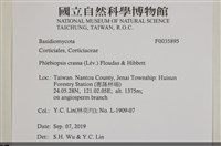 登錄號:F0035895藏品圖，第2張