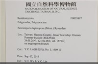 登錄號:F0035897藏品圖，第2張