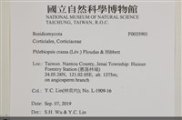 登錄號:F0035901藏品圖，第2張