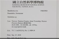 登錄號:F0035903藏品圖，第2張