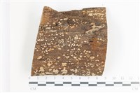 登錄號:F0035903藏品圖，第1張