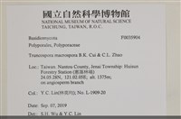 登錄號:F0035904藏品圖，第2張
