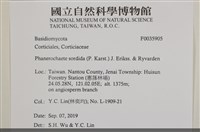 登錄號:F0035905藏品圖，第2張