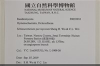 登錄號:F0035910藏品圖，第2張