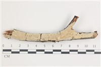 登錄號:F0035910藏品圖，第1張