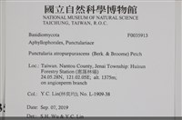 登錄號:F0035913藏品圖，第2張