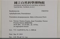 登錄號:F0035918藏品圖，第2張