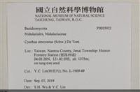 登錄號:F0035922藏品圖，第2張