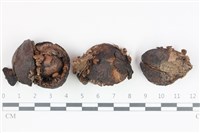 登錄號:F0035922藏品圖，第1張