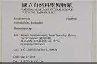 刺皮菌屬藏品圖，第2張