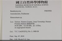 刺皮菌屬藏品圖，第2張