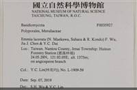 登錄號:F0035927藏品圖，第2張