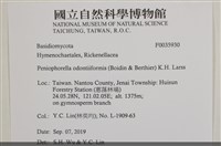 登錄號:F0035930藏品圖，第2張