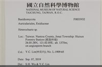 刺皮菌屬藏品圖，第2張