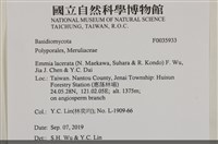 登錄號:F0035933藏品圖，第2張