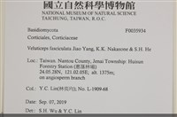 登錄號:F0035934藏品圖，第2張