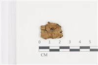 登錄號:F0035934藏品圖，第1張