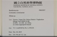 登錄號:F0035937藏品圖，第2張