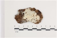 登錄號:F0035938藏品圖，第1張