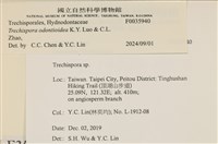 登錄號:F0035940藏品圖，第2張