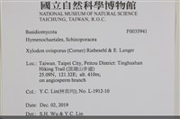 登錄號:F0035941藏品圖，第2張