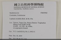 登錄號:F0035942藏品圖，第2張