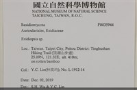 登錄號:F0035944藏品圖，第3張
