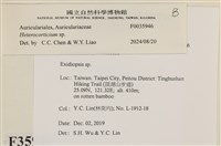 登錄號:F0035946藏品圖，第2張