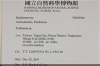 登錄號:F0035946藏品圖，第3張