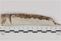 登錄號:F0035947藏品圖，第1張