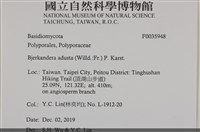 煙管菌藏品圖，第2張