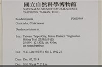 登錄號:F0035949藏品圖，第3張
