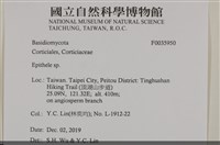 登錄號:F0035950藏品圖，第2張