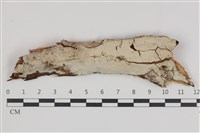 登錄號:F0035950藏品圖，第1張