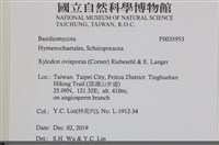 登錄號:F0035953藏品圖，第2張