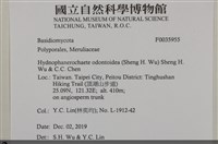 登錄號:F0035955藏品圖，第2張