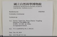 登錄號:F0035963藏品圖，第2張