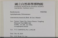 登錄號:F0035966藏品圖，第2張