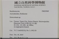 刺皮菌屬藏品圖，第2張